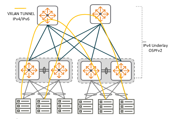 EVPN-VXLAN fabric with IPv4 underlay with dual stack overlay